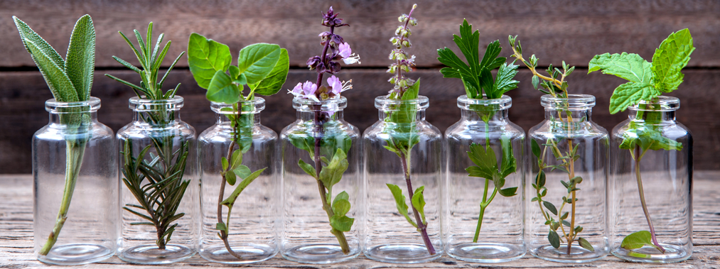 laboratoire dissolvurol plantes aromatiques