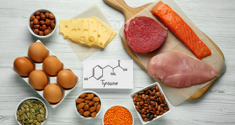 aliments riches en tyrosine